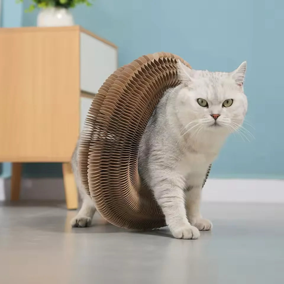 MagicSpirale™ - Griffoir Spirale pour Chat