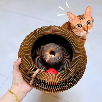 MagicSpirale™ - Griffoir Spirale pour Chat